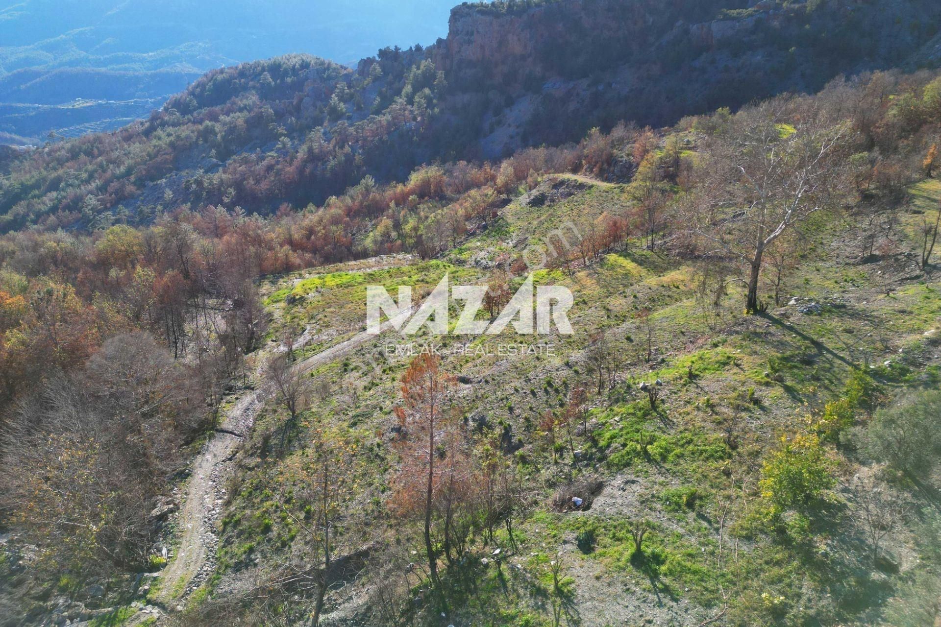 Alanya Yaylakonak’ta 3.682 M² Satılık Tarla - Görsel 12