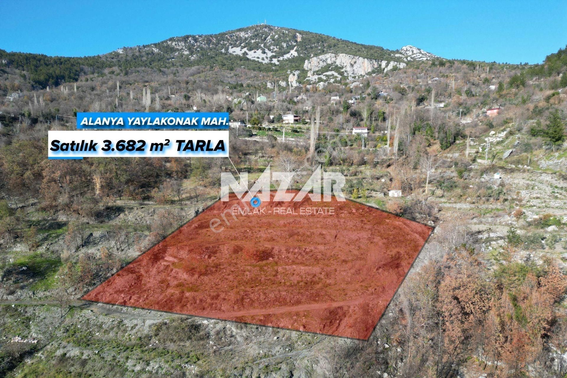 Alanya Yaylakonak’ta 3.682 M² Satılık Tarla - Görsel 2
