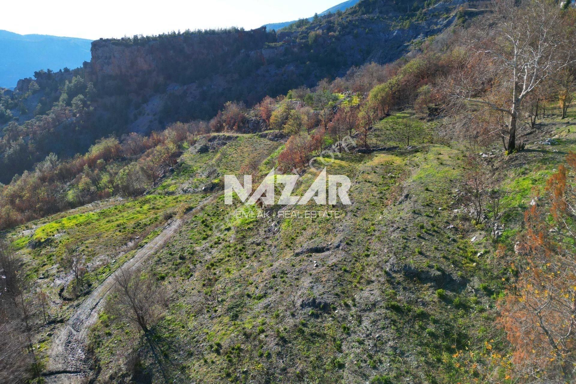 Alanya Yaylakonak’ta 3.682 M² Satılık Tarla - Görsel 14