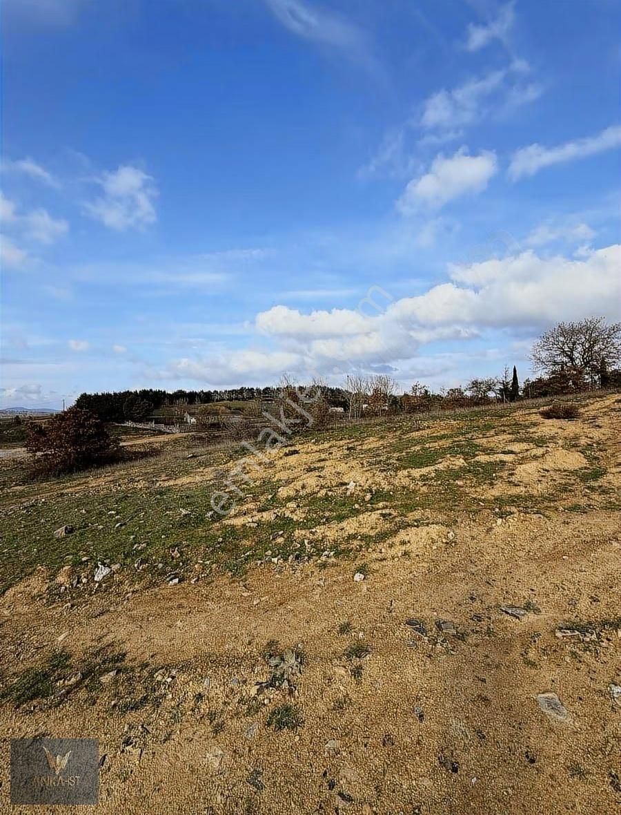 Tuzla Tepeören'de Satılık 1178 M2 Villa İmarlı Arsa - Görsel 14