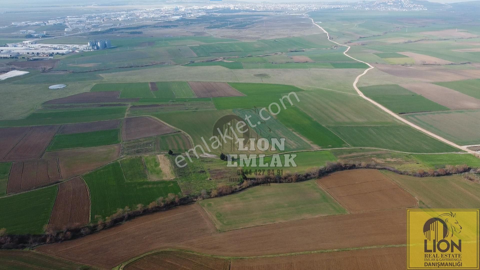 Lıon Emlak'tan Ömerli'de Köy İçi Mevkinde Hisseli Satılık Tarla - Görsel 6