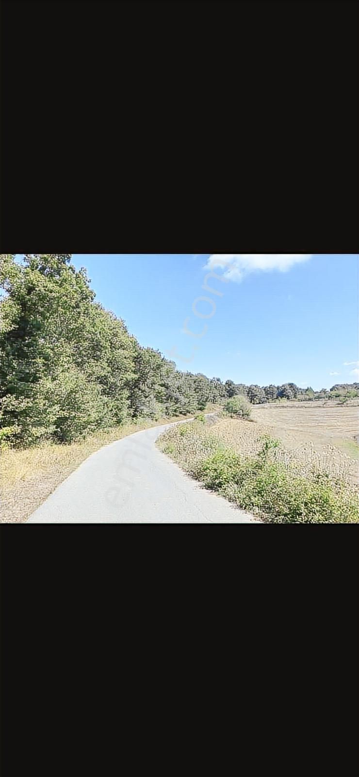 Adapazarı Kayrancıkda Yola Bir Parsel 2018 M2 Şekili Tarla - Görsel 5