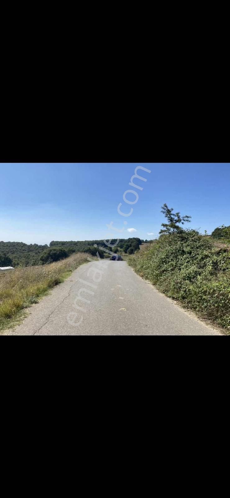 Adapazarı Kayrancıkda Yola Bir Parsel 2018 M2 Şekili Tarla - Görsel 2