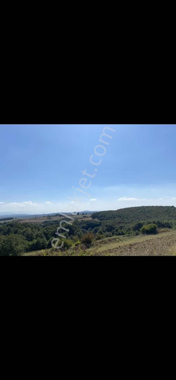 Adapazarı Kayrancıkda Yola Bir Parsel 2018 M2 Şekili Tarla - Görsel 3