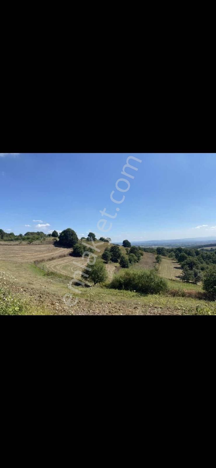 Adapazarı Kayrancıkda Yola Bir Parsel 2018 M2 Şekili Tarla