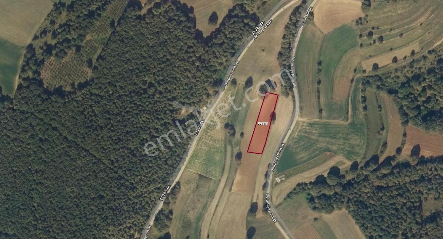 Adapazarı Kayrancıkda Yola Bir Parsel 2018 M2 Şekili Tarla - Görsel 10