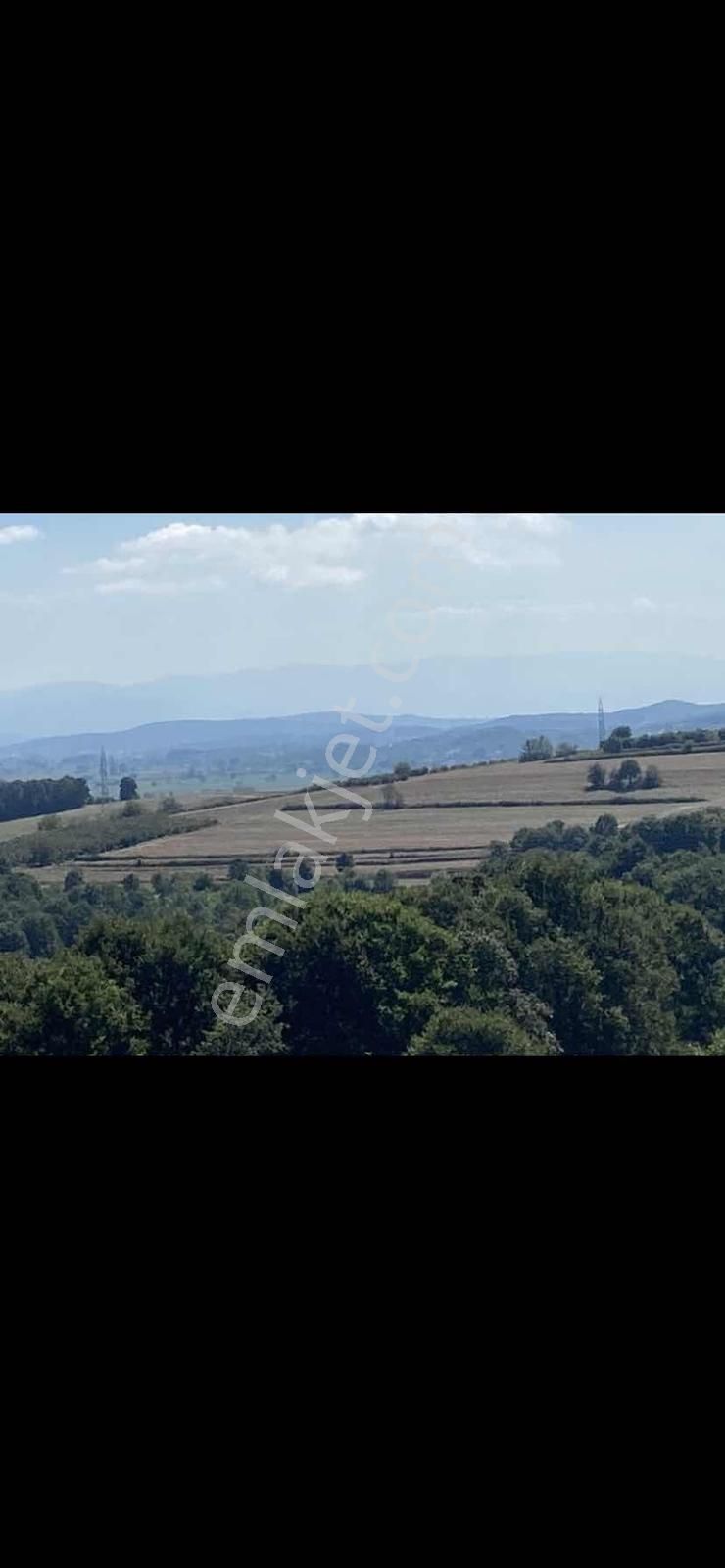 Adapazarı Kayrancıkda Yola Bir Parsel 2018 M2 Şekili Tarla - Görsel 4