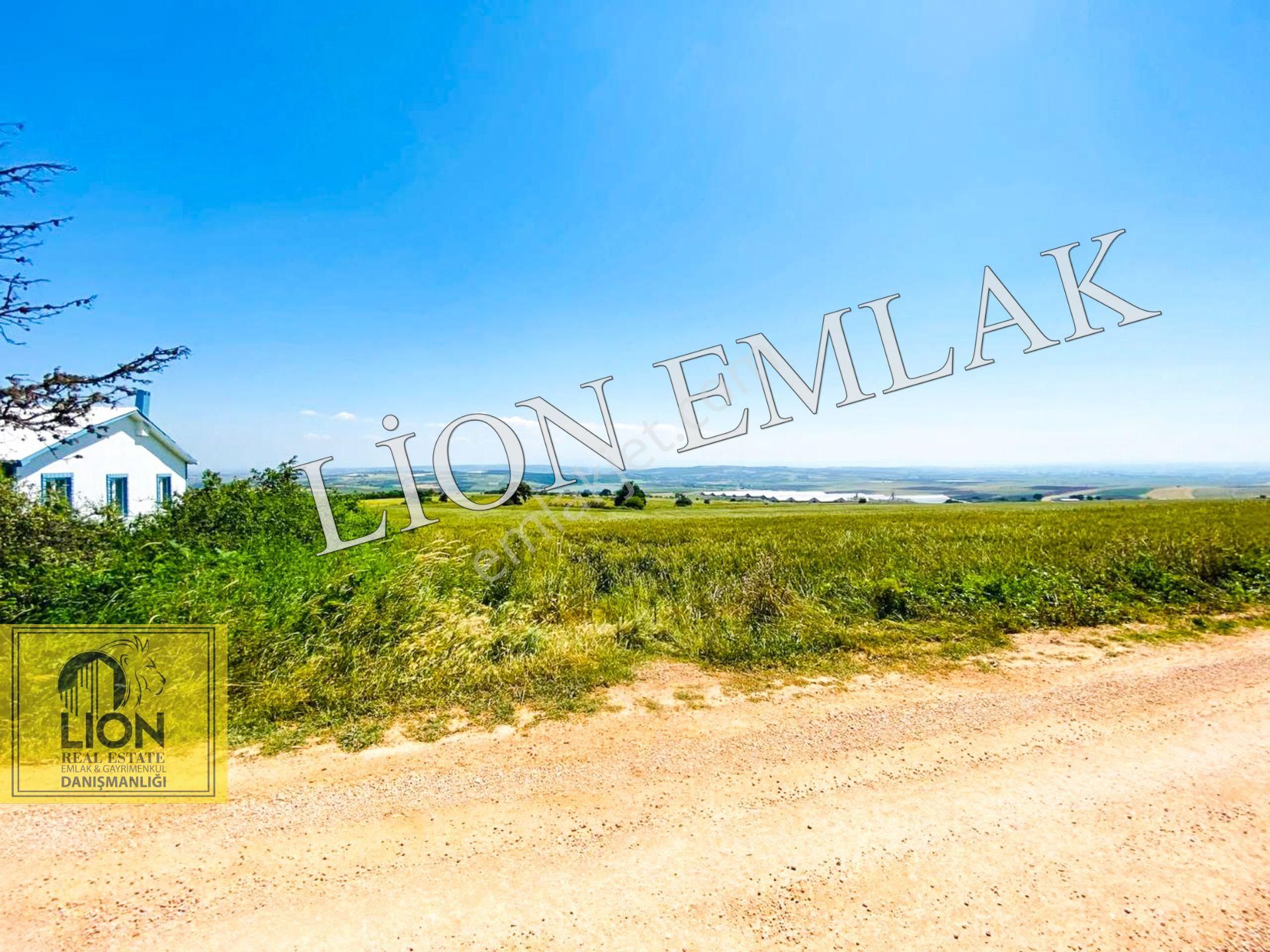 🟨⬛lıon Emlak'tan Bandırma Çakılköy Mahallesinde Kadastro Yola Cephe 13 Dönüm Satılık Tarla⬛🟨 - Görsel 33