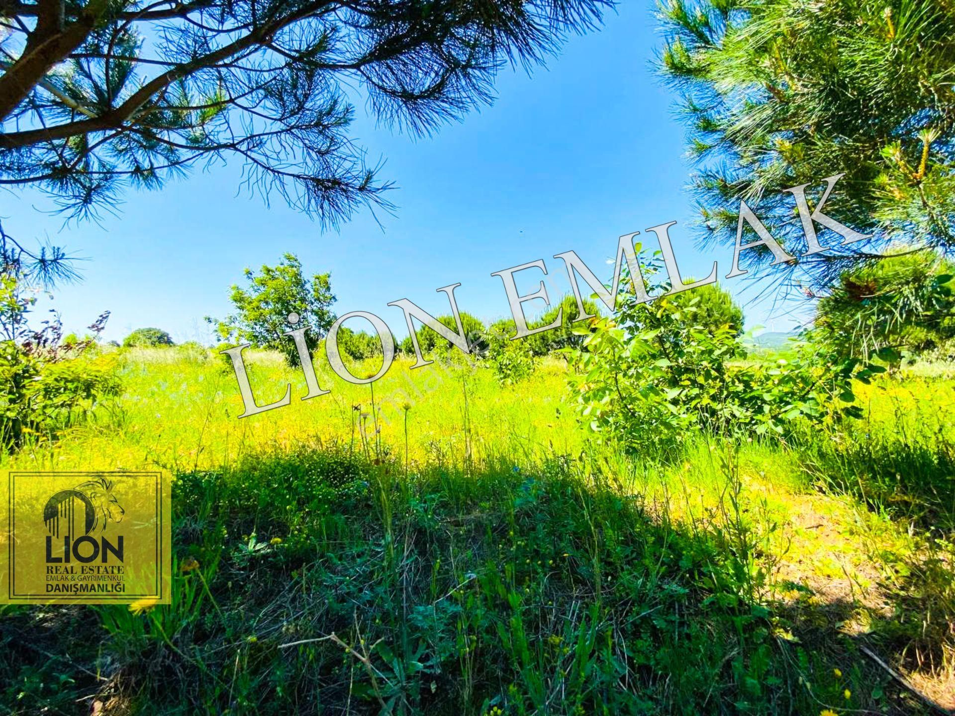 🟨⬛lıon Emlak'tan Bandırma Çakılköy Mahallesinde Kadastro Yola Cephe 13 Dönüm Satılık Tarla⬛🟨 - Görsel 10