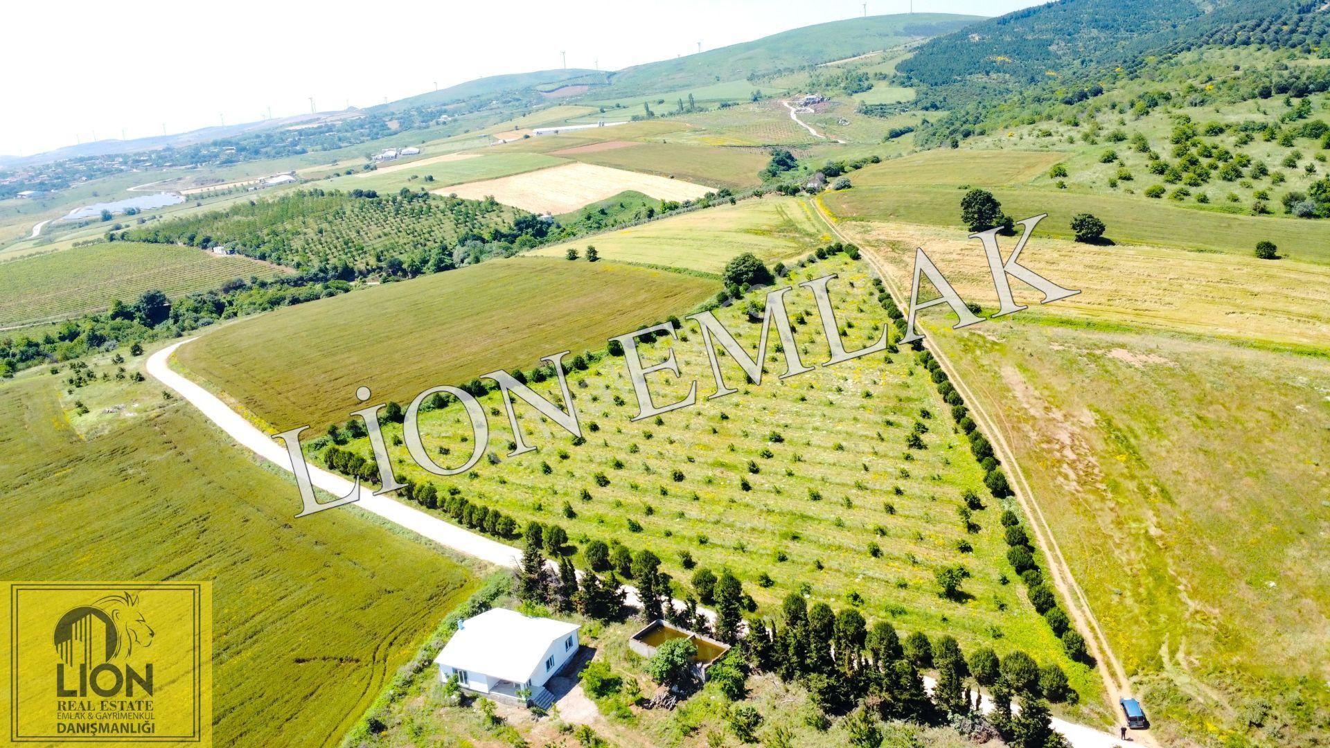 🟨⬛lıon Emlak'tan Bandırma Çakılköy Mahallesinde Kadastro Yola Cephe 13 Dönüm Satılık Tarla⬛🟨 - Görsel 8