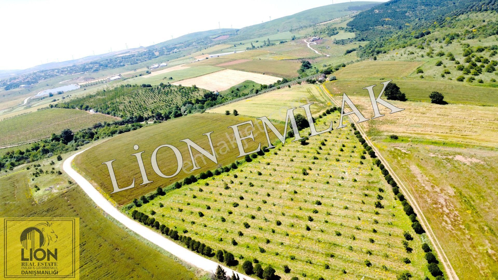 🟨⬛lıon Emlak'tan Bandırma Çakılköy Mahallesinde Kadastro Yola Cephe 13 Dönüm Satılık Tarla⬛🟨 - Görsel 3