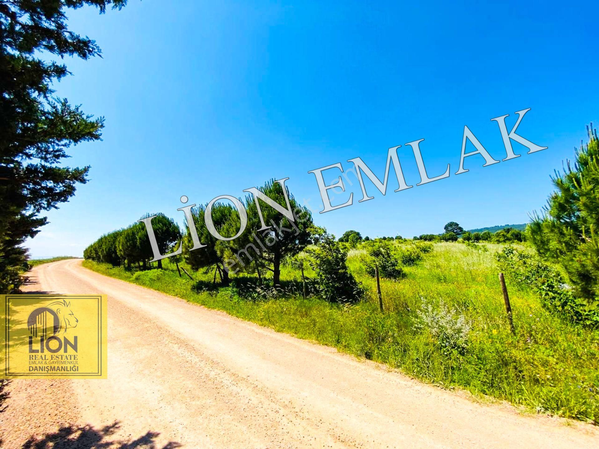 🟨⬛lıon Emlak'tan Bandırma Çakılköy Mahallesinde Kadastro Yola Cephe 13 Dönüm Satılık Tarla⬛🟨 - Görsel 6