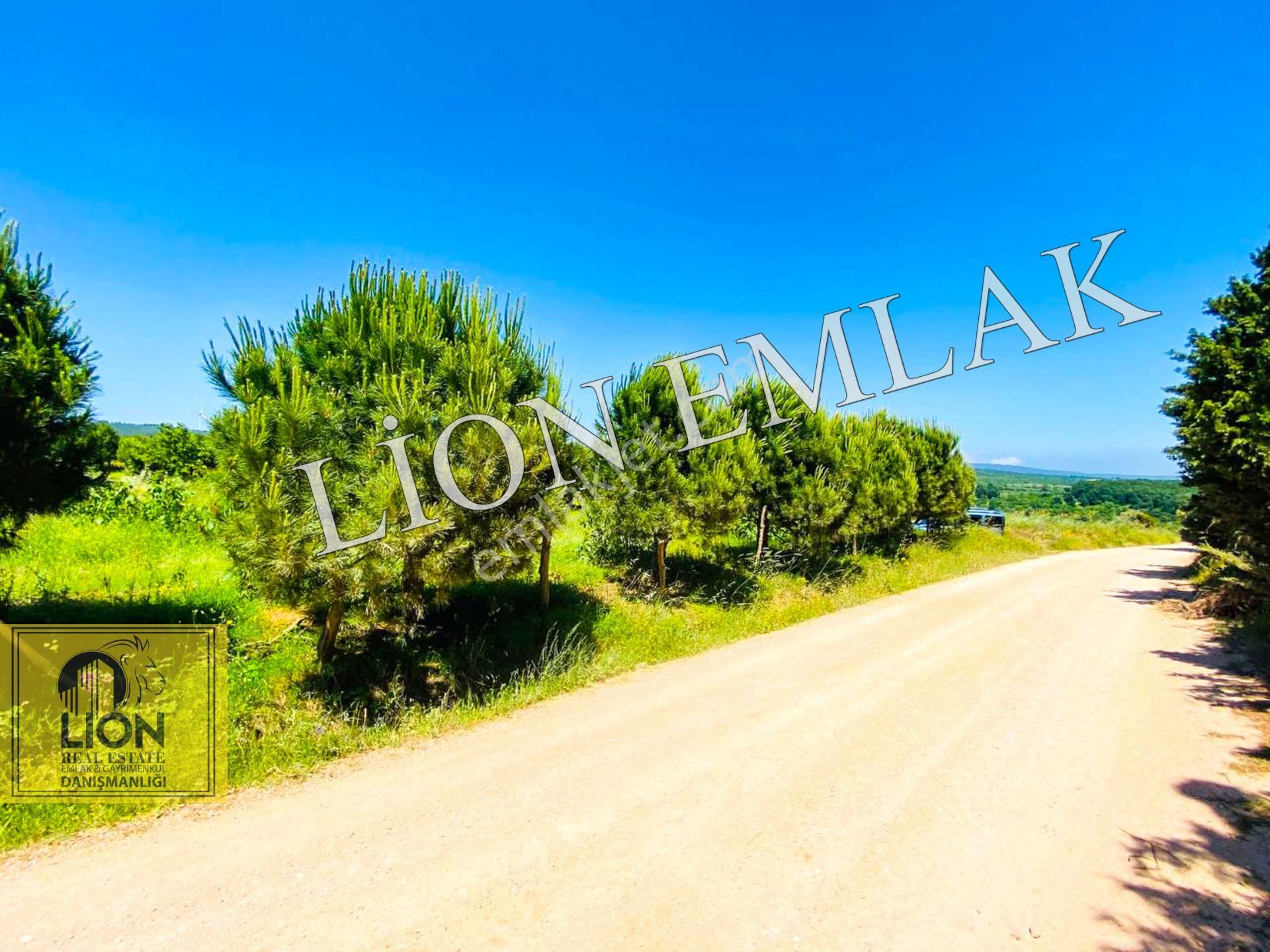 🟨⬛lıon Emlak'tan Bandırma Çakılköy Mahallesinde Kadastro Yola Cephe 13 Dönüm Satılık Tarla⬛🟨 - Görsel 13