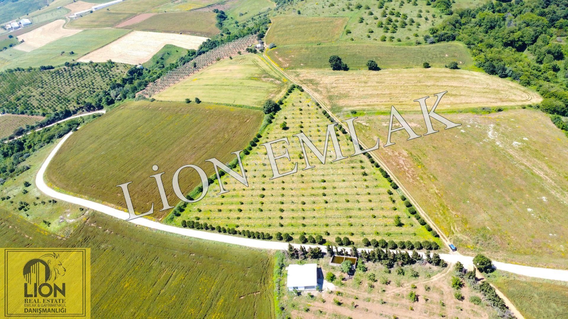🟨⬛lıon Emlak'tan Bandırma Çakılköy Mahallesinde Kadastro Yola Cephe 13 Dönüm Satılık Tarla⬛🟨 - Görsel 15