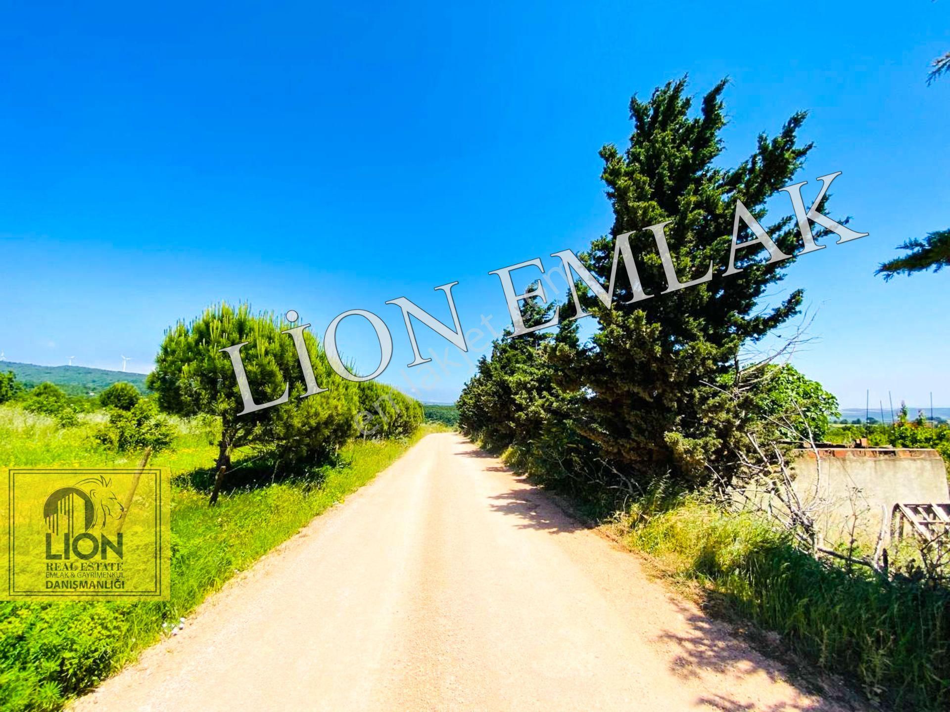 🟨⬛lıon Emlak'tan Bandırma Çakılköy Mahallesinde Kadastro Yola Cephe 13 Dönüm Satılık Tarla⬛🟨 - Görsel 30