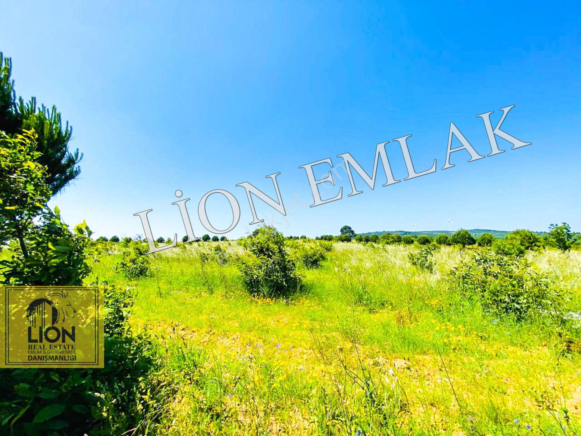 🟨⬛lıon Emlak'tan Bandırma Çakılköy Mahallesinde Kadastro Yola Cephe 13 Dönüm Satılık Tarla⬛🟨 - Görsel 19