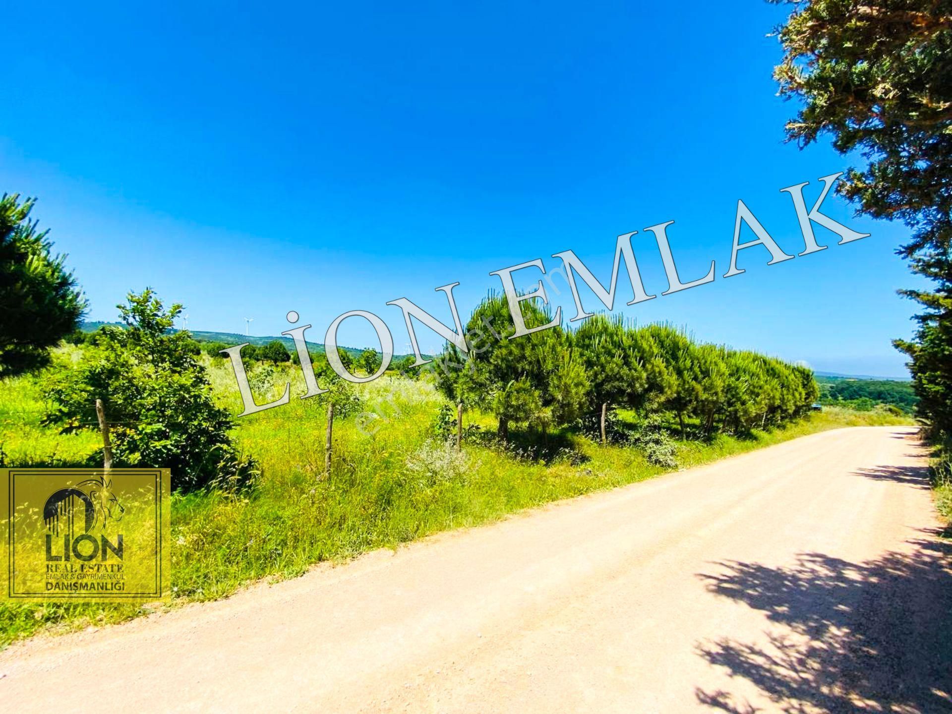 🟨⬛lıon Emlak'tan Bandırma Çakılköy Mahallesinde Kadastro Yola Cephe 13 Dönüm Satılık Tarla⬛🟨 - Görsel 7