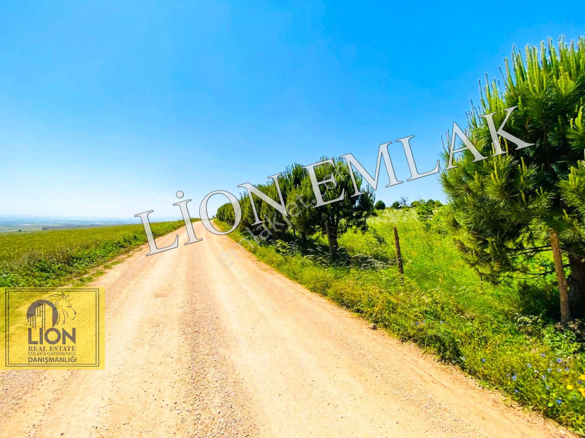 🟨⬛lıon Emlak'tan Bandırma Çakılköy Mahallesinde Kadastro Yola Cephe 13 Dönüm Satılık Tarla⬛🟨 - Görsel 32