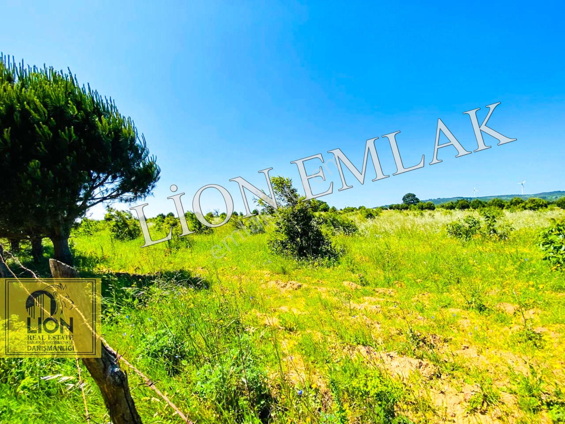 🟨⬛lıon Emlak'tan Bandırma Çakılköy Mahallesinde Kadastro Yola Cephe 13 Dönüm Satılık Tarla⬛🟨 - Görsel 28