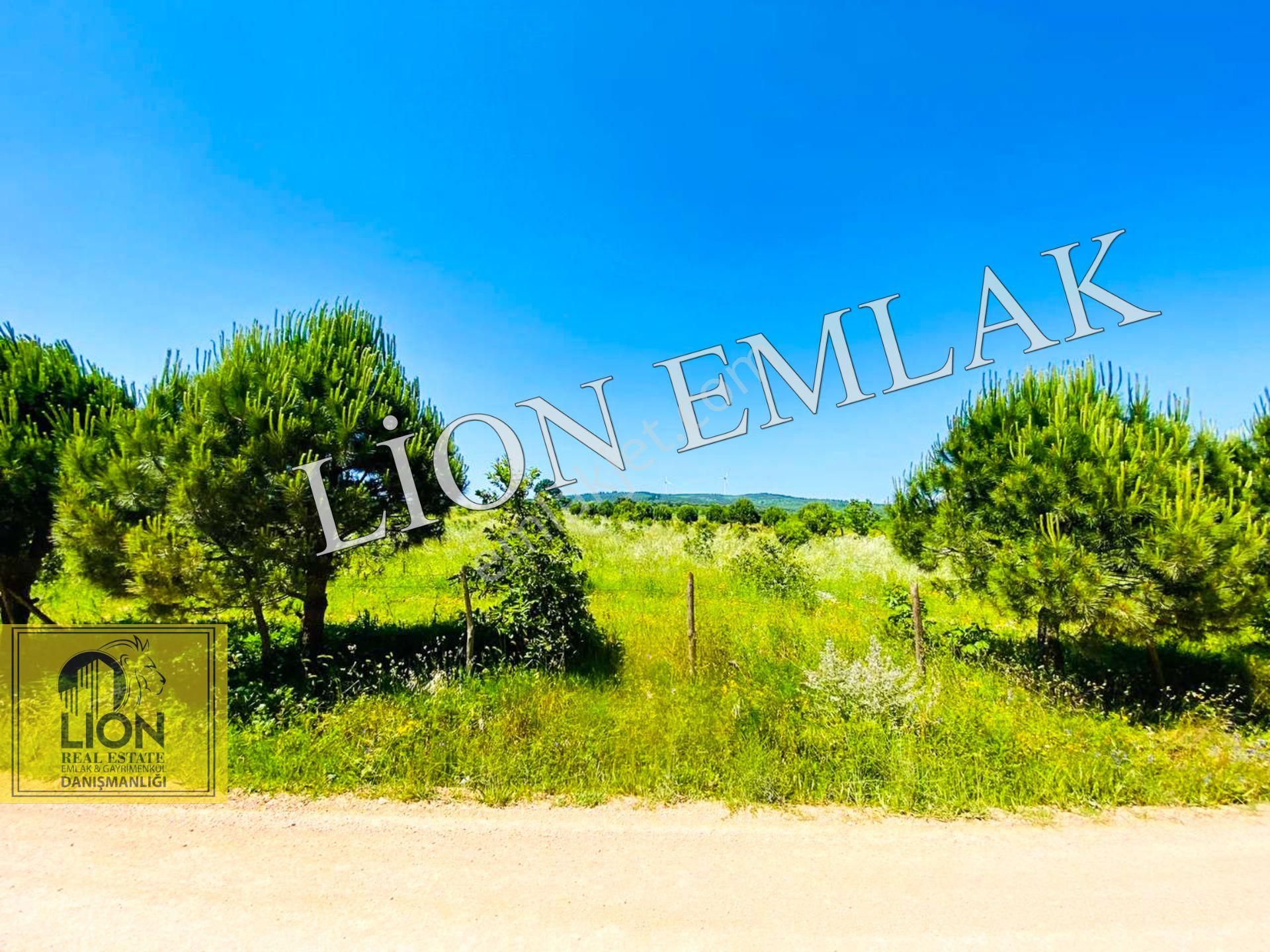 🟨⬛lıon Emlak'tan Bandırma Çakılköy Mahallesinde Kadastro Yola Cephe 13 Dönüm Satılık Tarla⬛🟨 - Görsel 17