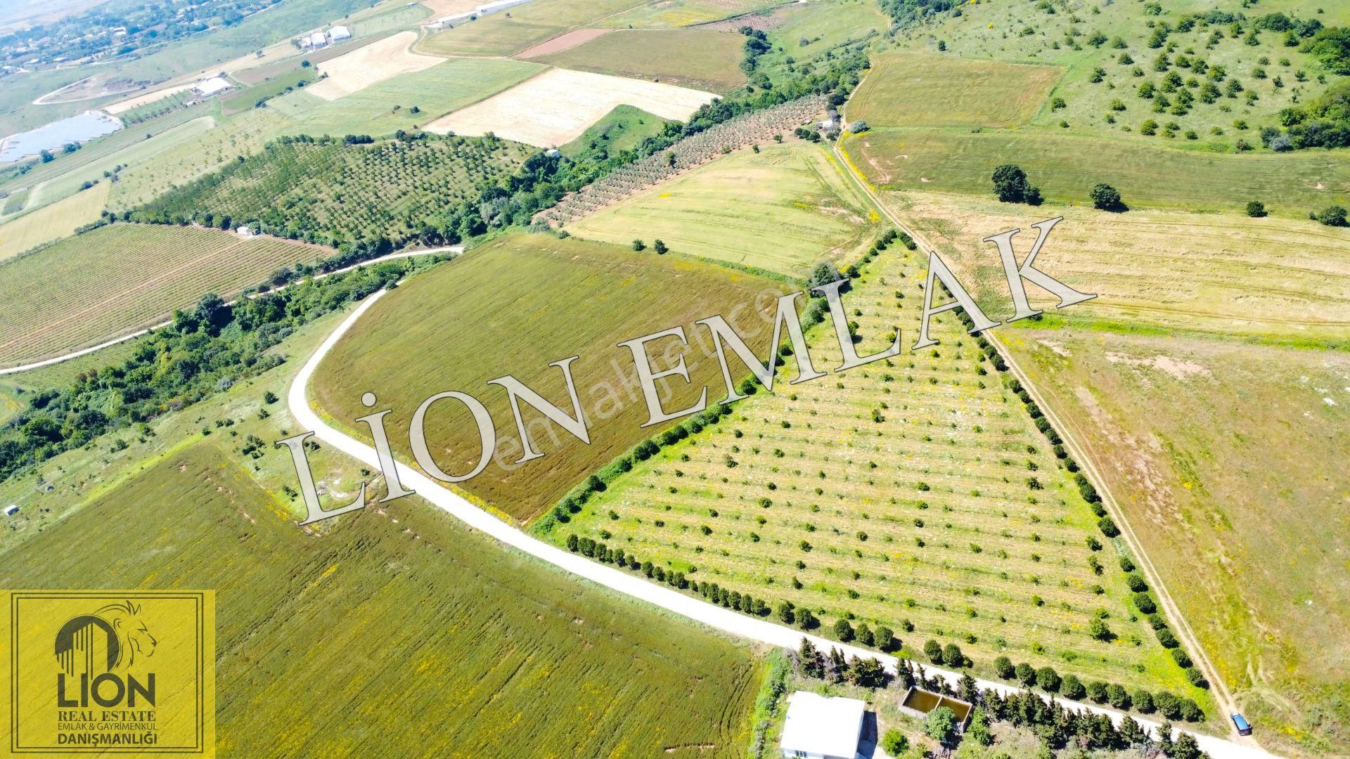 🟨⬛lıon Emlak'tan Bandırma Çakılköy Mahallesinde Kadastro Yola Cephe 13 Dönüm Satılık Tarla⬛🟨 - Görsel 9