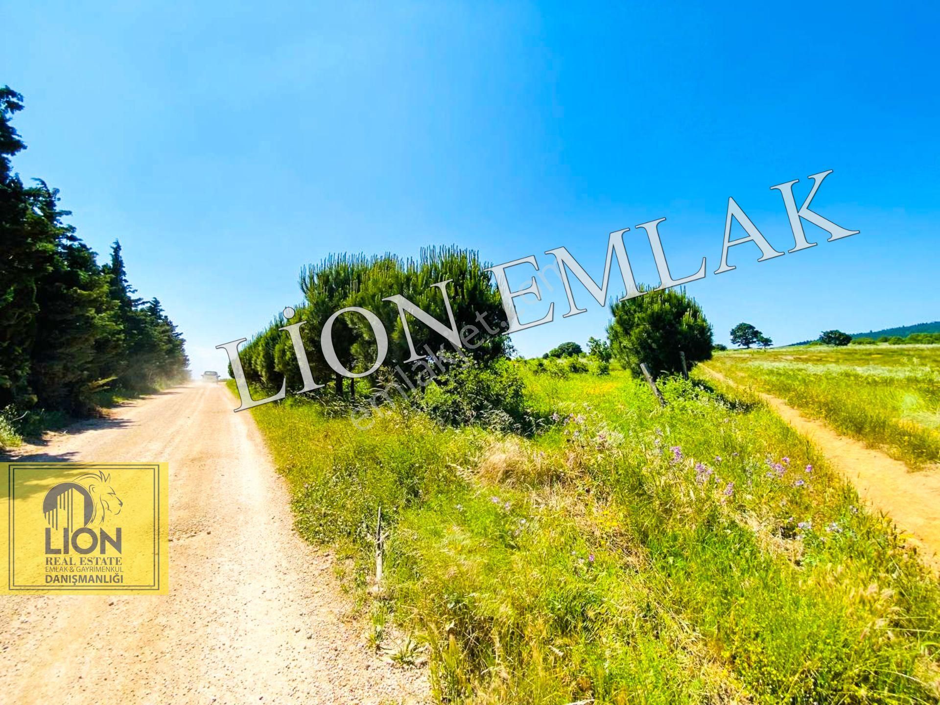 🟨⬛lıon Emlak'tan Bandırma Çakılköy Mahallesinde Kadastro Yola Cephe 13 Dönüm Satılık Tarla⬛🟨 - Görsel 18