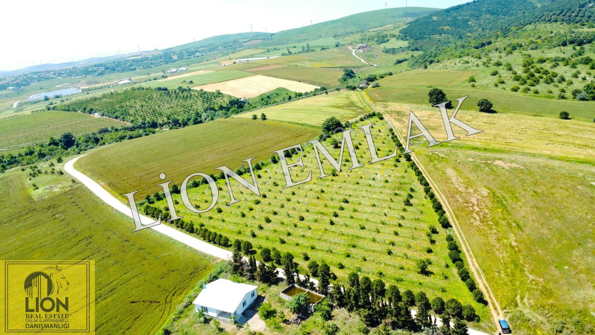 🟨⬛lıon Emlak'tan Bandırma Çakılköy Mahallesinde Kadastro Yola Cephe 13 Dönüm Satılık Tarla⬛🟨 - Görsel 14