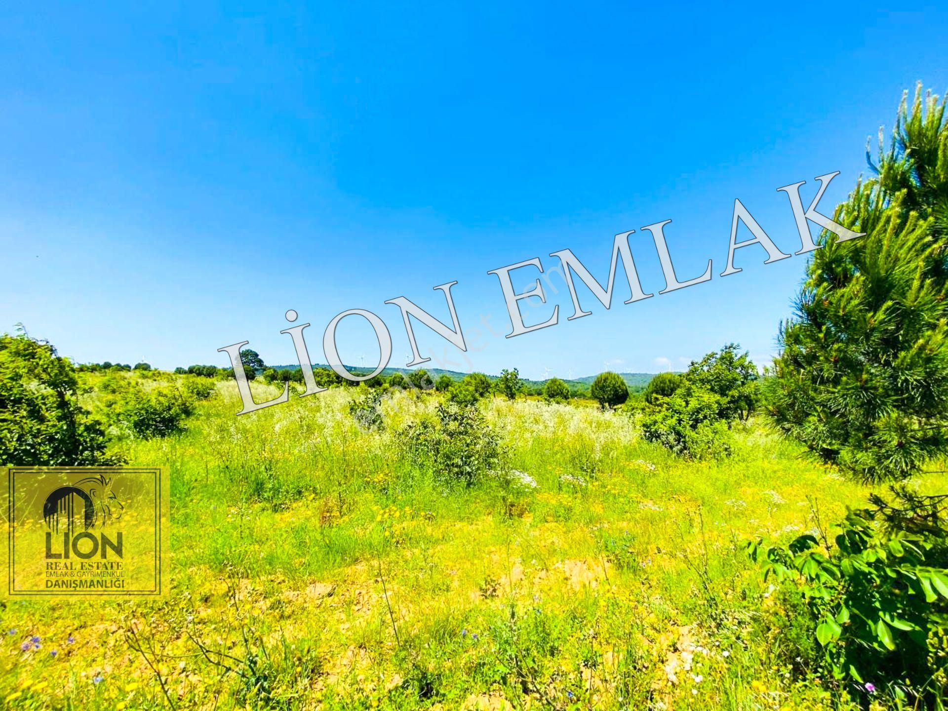 🟨⬛lıon Emlak'tan Bandırma Çakılköy Mahallesinde Kadastro Yola Cephe 13 Dönüm Satılık Tarla⬛🟨 - Görsel 25