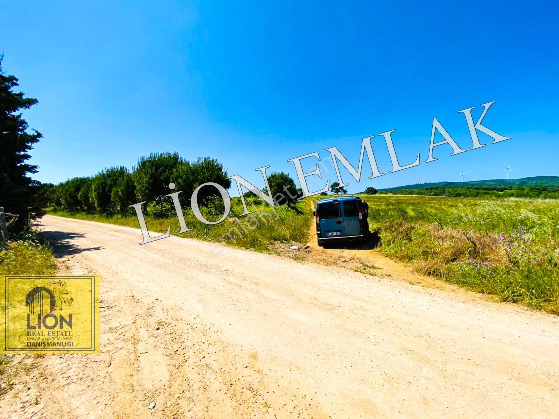 🟨⬛lıon Emlak'tan Bandırma Çakılköy Mahallesinde Kadastro Yola Cephe 13 Dönüm Satılık Tarla⬛🟨 - Görsel 21