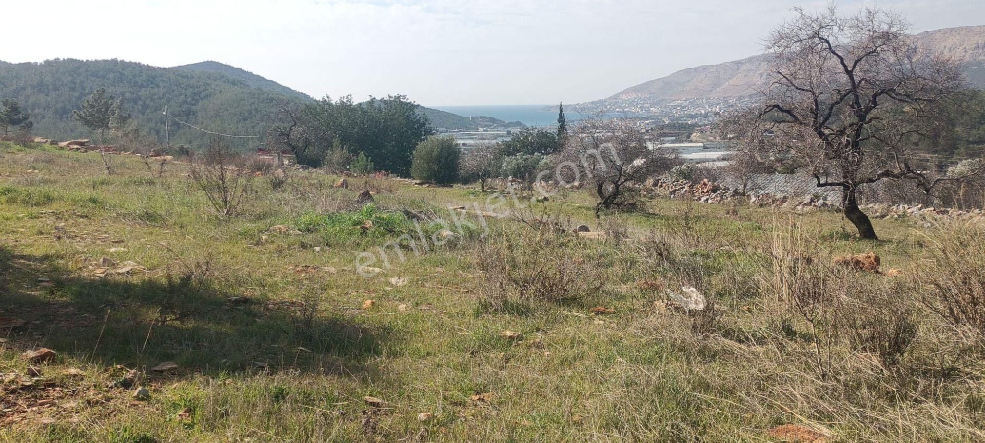 Aydıncık Emlaktan Satılık - Görsel 2