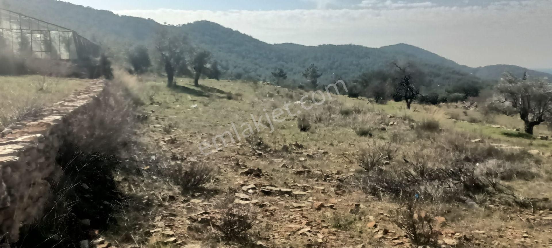 Aydıncık Emlaktan Satılık - Görsel 4