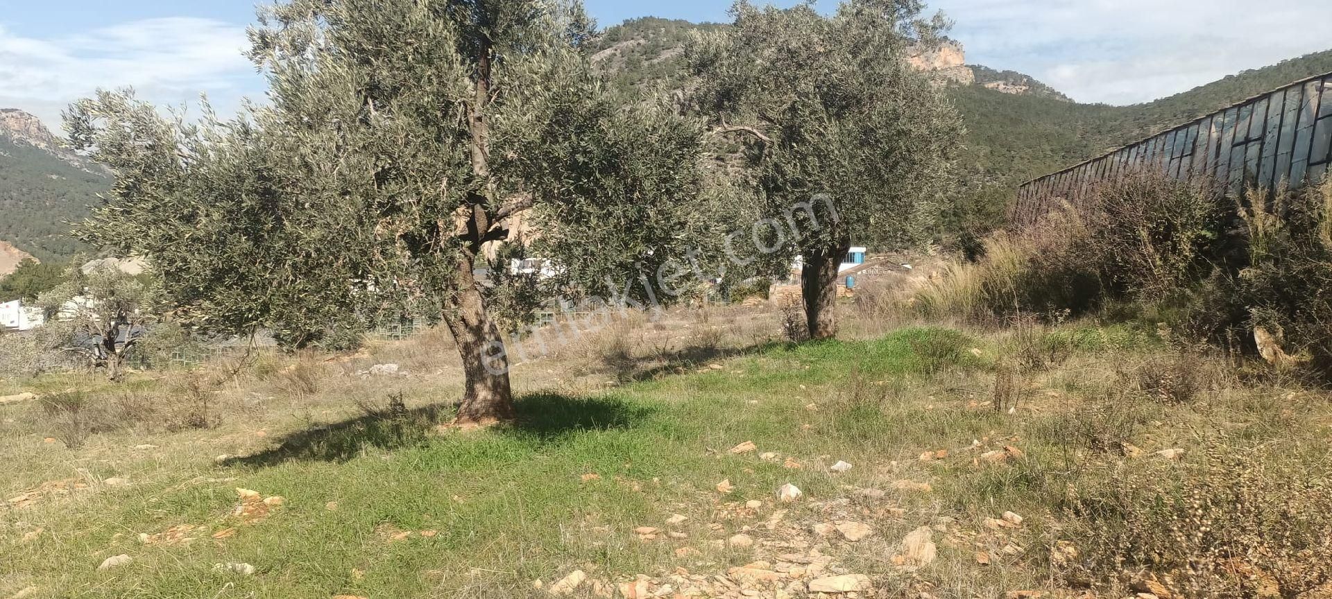 Aydıncık Emlaktan Satılık - Görsel 11