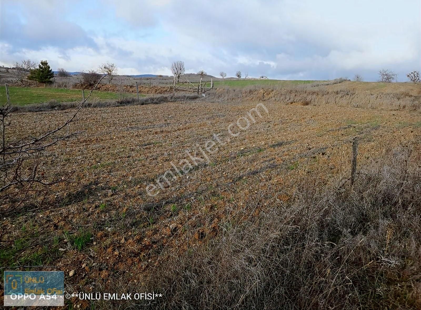 Ünlü Emlaktan Şehre Yakın Konumda Acil Satılık Yola Cephe Bahçe - Görsel 6