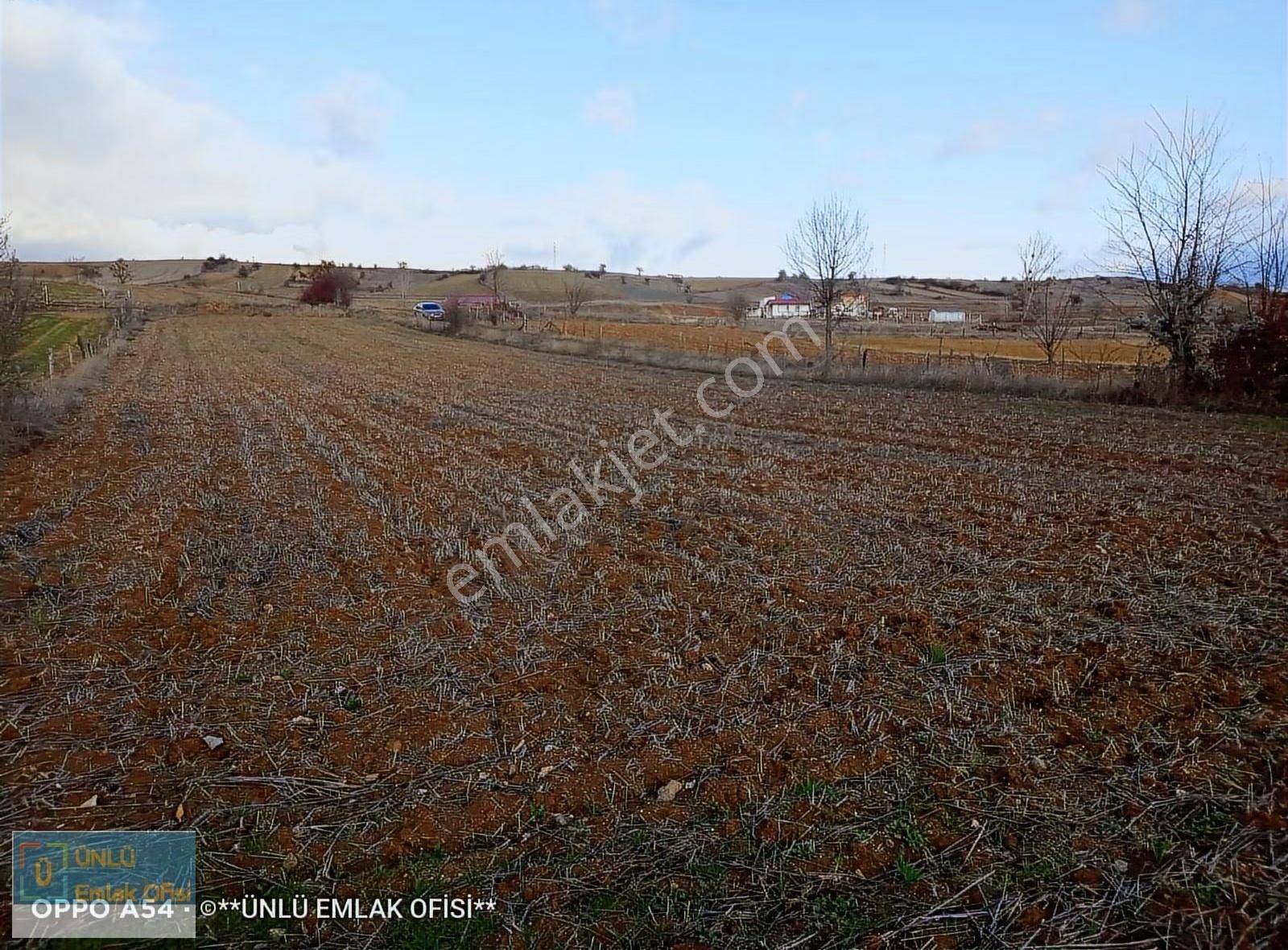Ünlü Emlaktan Şehre Yakın Konumda Acil Satılık Yola Cephe Bahçe - Görsel 16