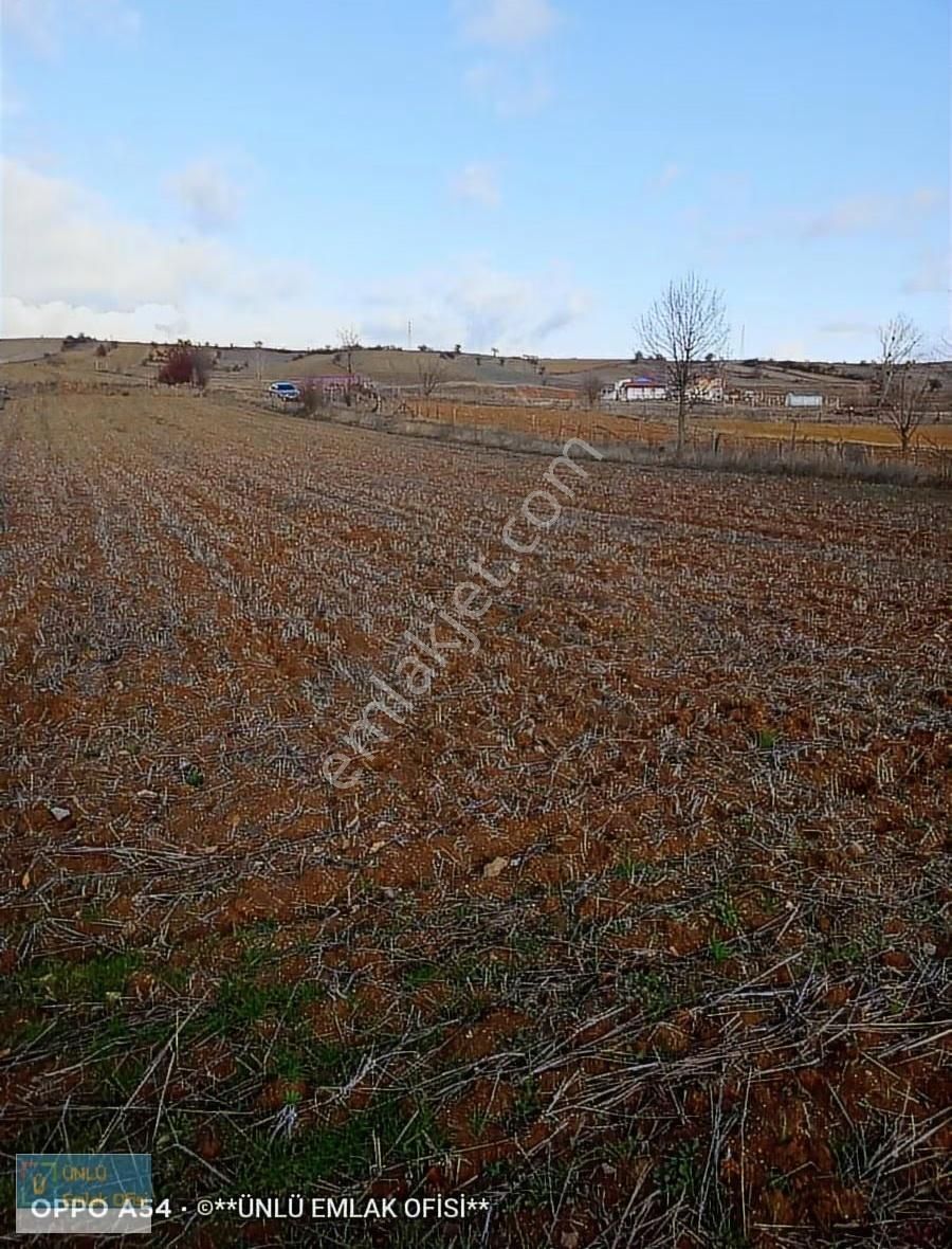 Ünlü Emlaktan Şehre Yakın Konumda Acil Satılık Yola Cephe Bahçe - Görsel 3