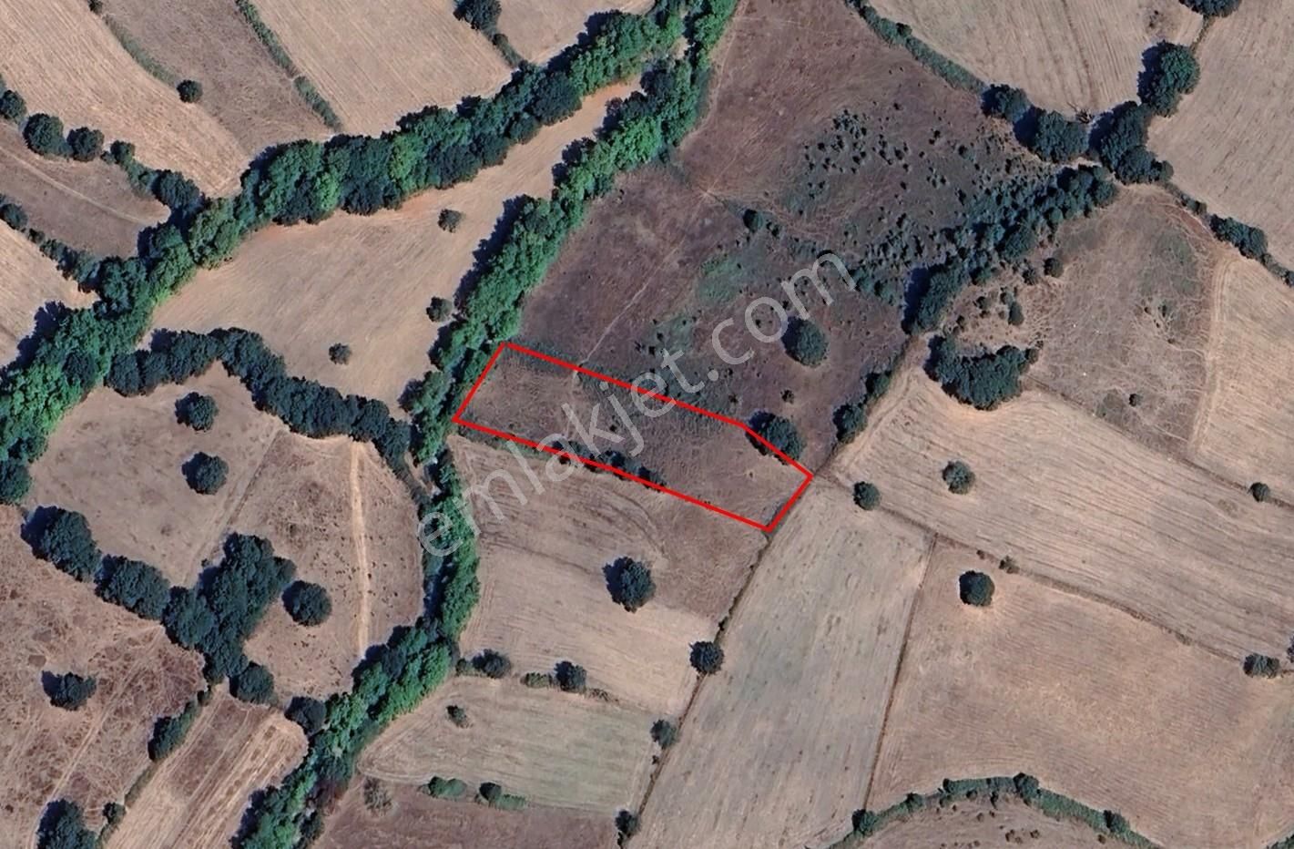 Balıkesir Balya Dereköy'de Yatırımlık Fırsat Arazi!!! - Görsel 3