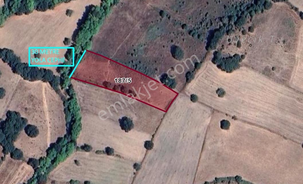 Balıkesir Balya Dereköy'de Yatırımlık Fırsat Arazi!!! - Görsel 2