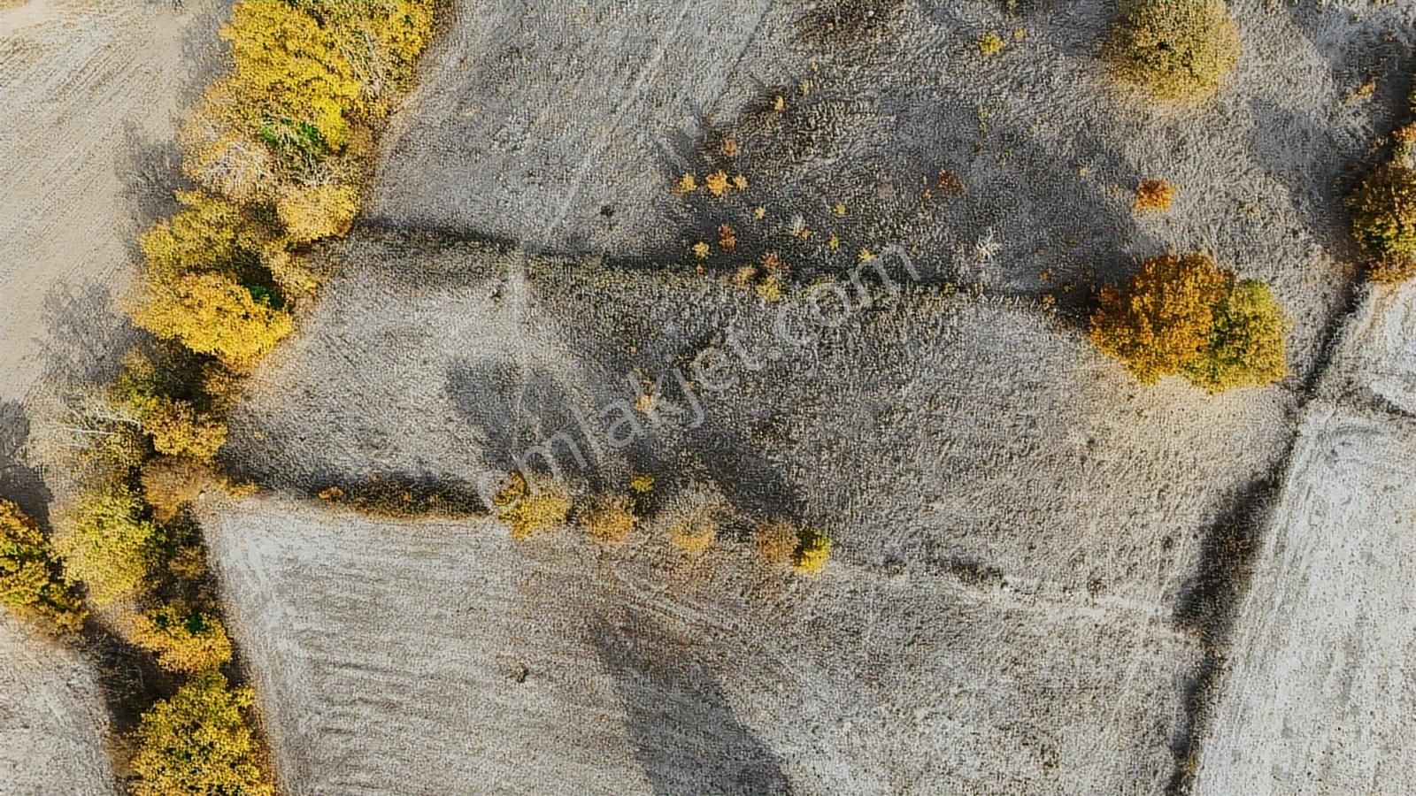 Balıkesir Balya Dereköy'de Yatırımlık Fırsat Arazi!!! - Görsel 4