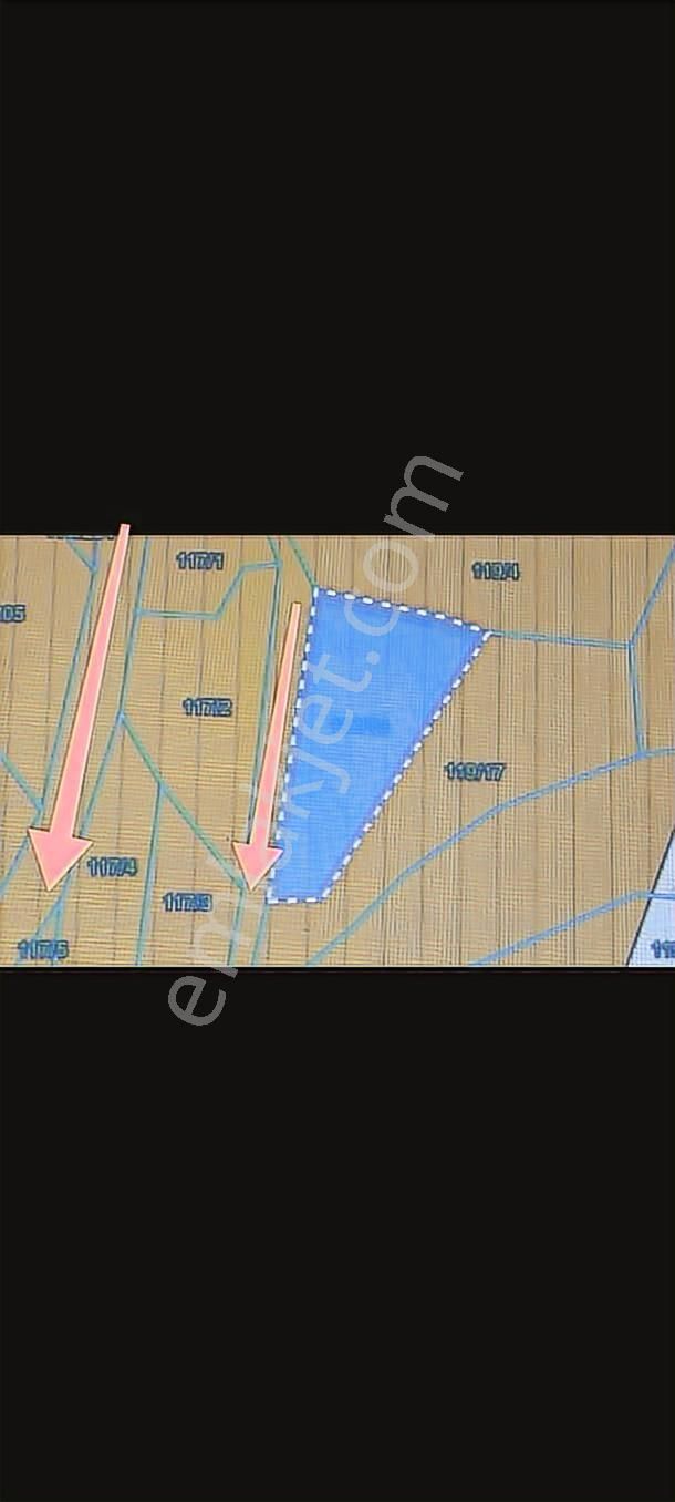 Kadastral Yola Cepheli Kandıra Akçaovada Satılık Arsa - Görsel 2