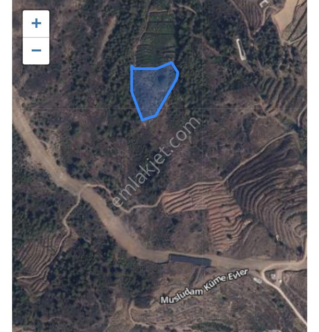 Sahibinden Satılık Anamur Anıtlı Çörtük Mevkii - Görsel 4