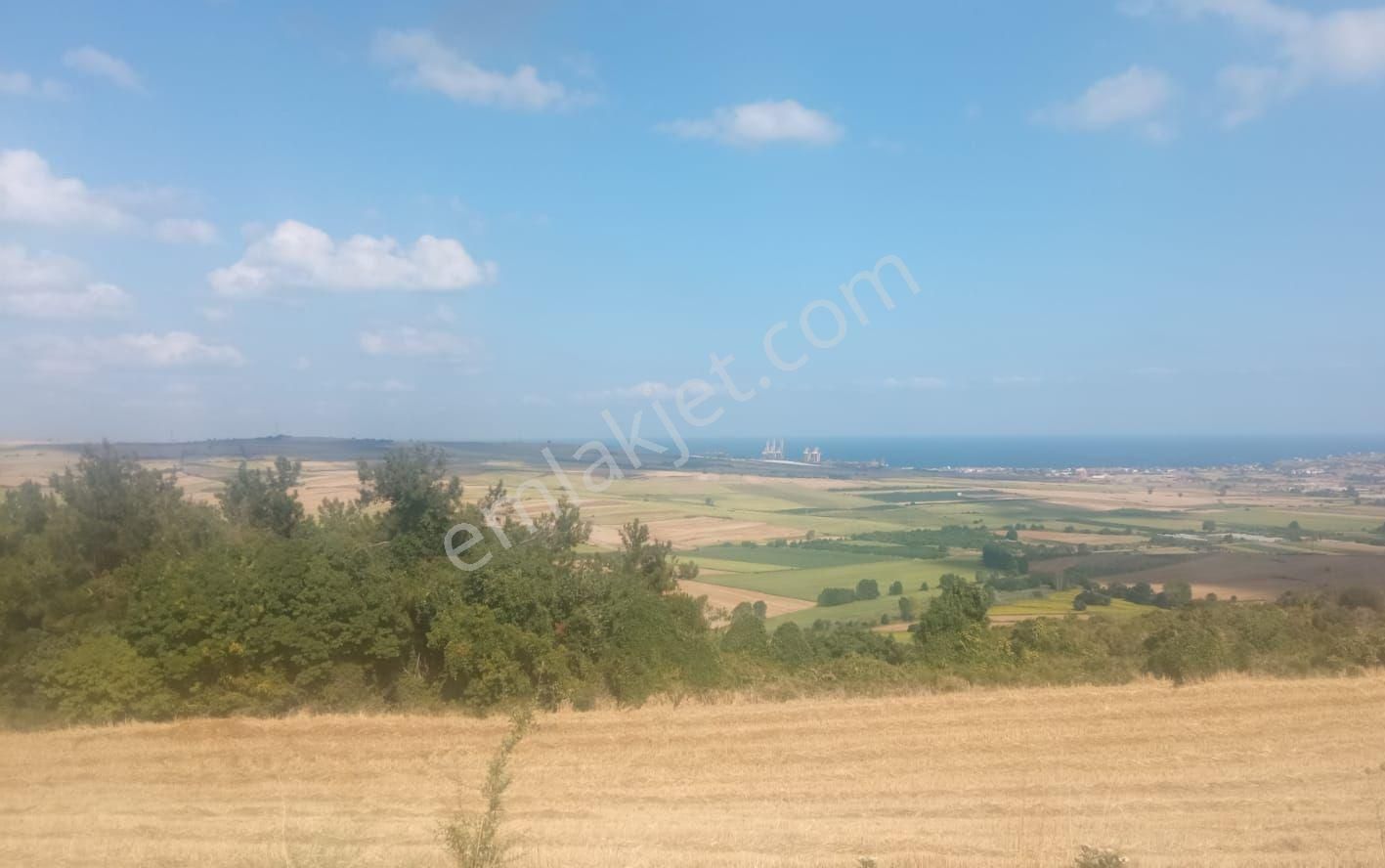 Tekirdağ Süleymanpaşa Deniz Manzaralı 27 Dönüm Satılık Tarla - Görsel 2