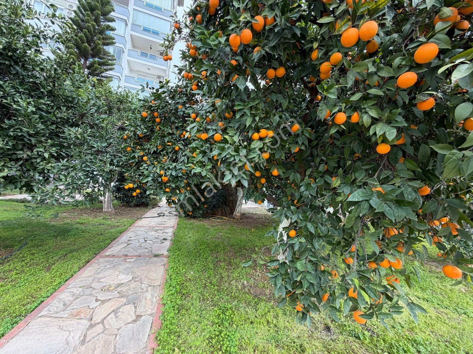 Cikcilli Lemon Garden Sitesi Full Deniz Manzaralı (ikamet Uygun) - Görsel 13