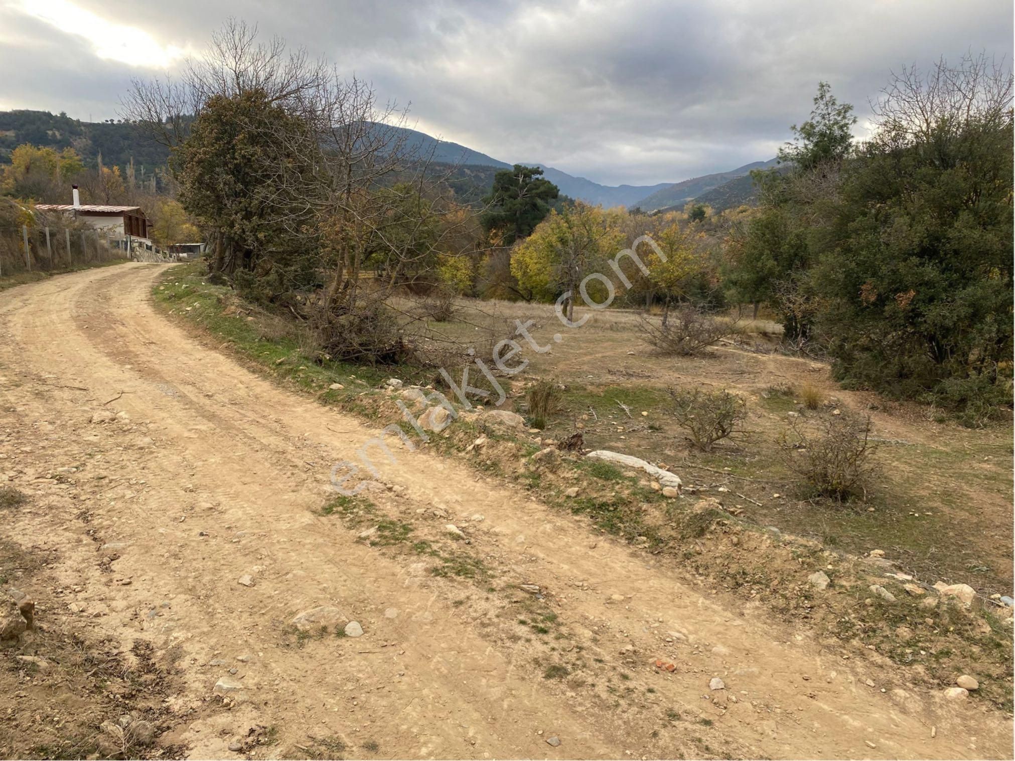 Denizli Yeşilyayla’da 3332m2 Bağ Bahçe Yapımına Uygun Dere Kenarı Köye Yakın Satılık Arsa - Görsel 6