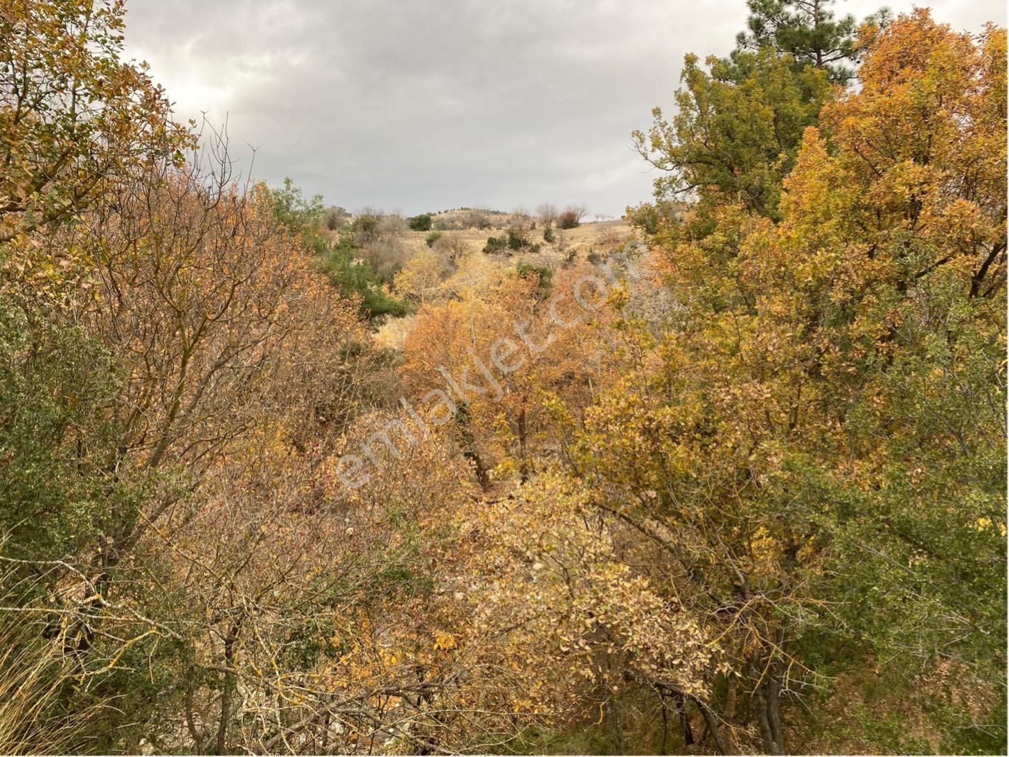 Denizli Yeşilyayla’da 3332m2 Bağ Bahçe Yapımına Uygun Dere Kenarı Köye Yakın Satılık Arsa - Görsel 10