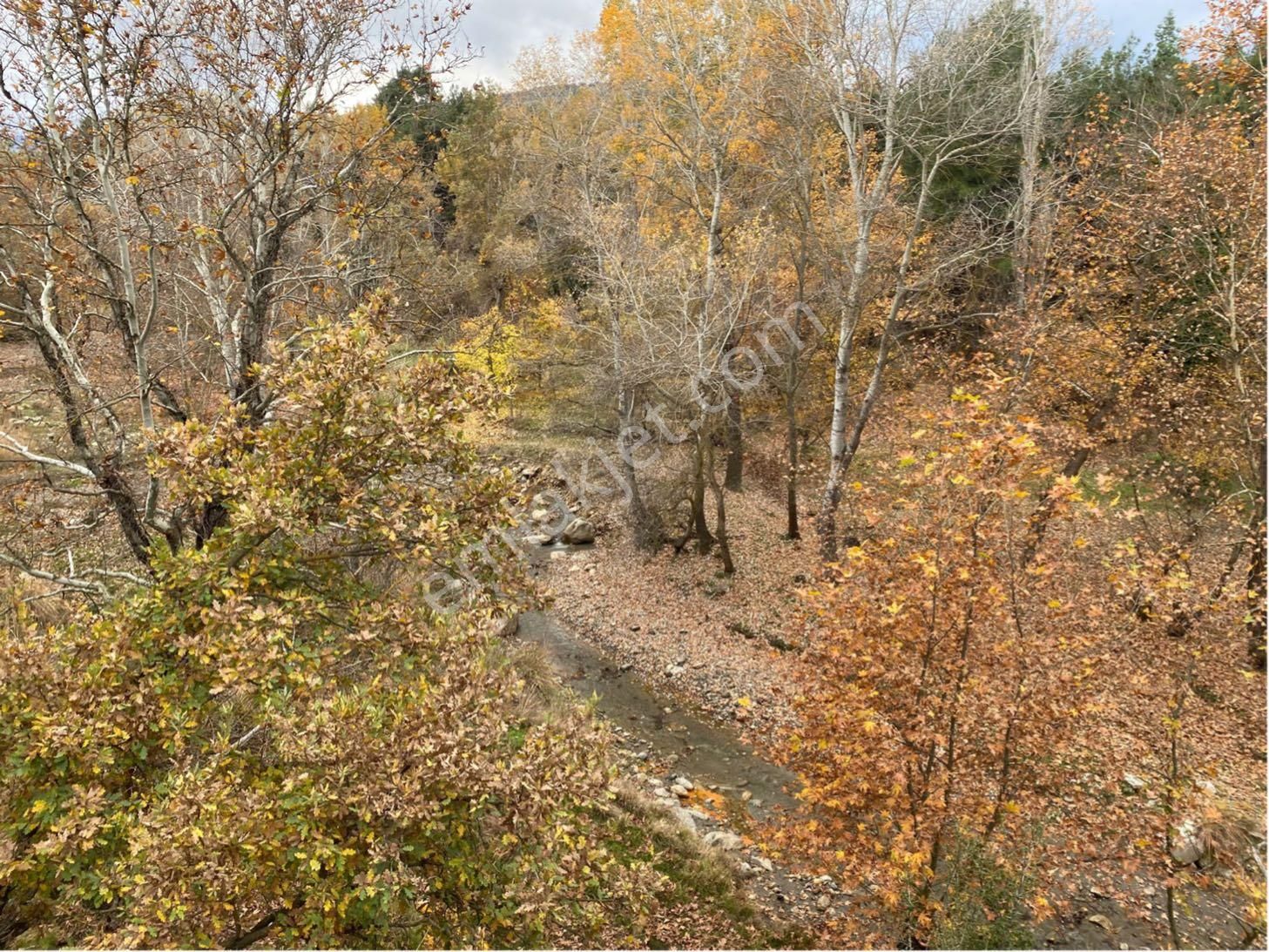 Denizli Yeşilyayla’da 3332m2 Bağ Bahçe Yapımına Uygun Dere Kenarı Köye Yakın Satılık Arsa - Görsel 9