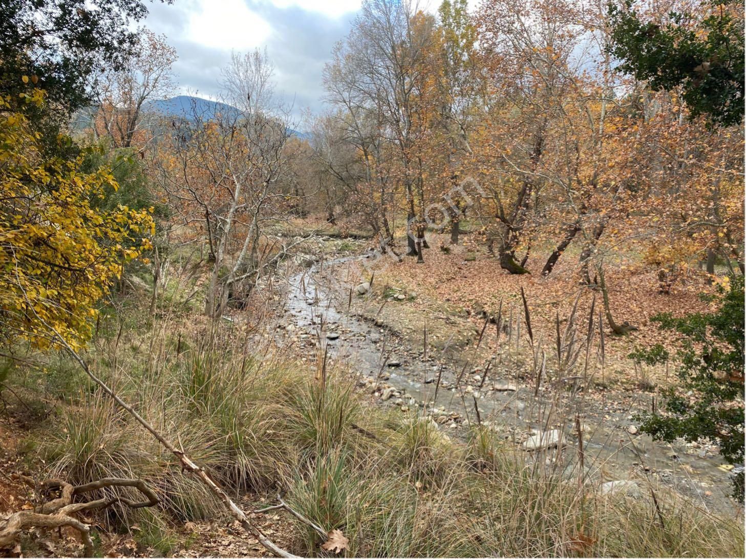 Denizli Yeşilyayla’da 3332m2 Bağ Bahçe Yapımına Uygun Dere Kenarı Köye Yakın Satılık Arsa - Görsel 5