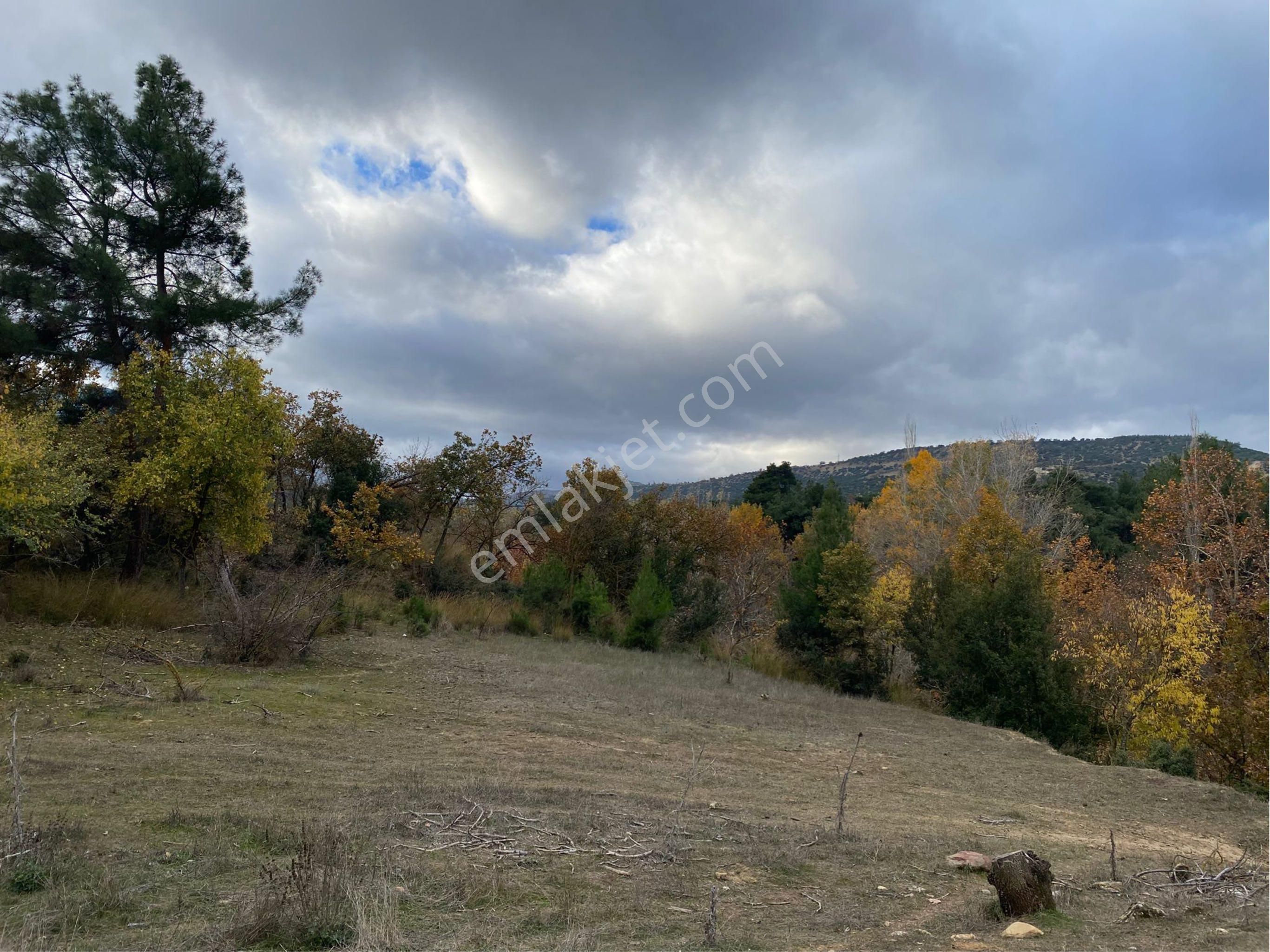 Denizli Yeşilyayla’da 3332m2 Bağ Bahçe Yapımına Uygun Dere Kenarı Köye Yakın Satılık Arsa - Görsel 2