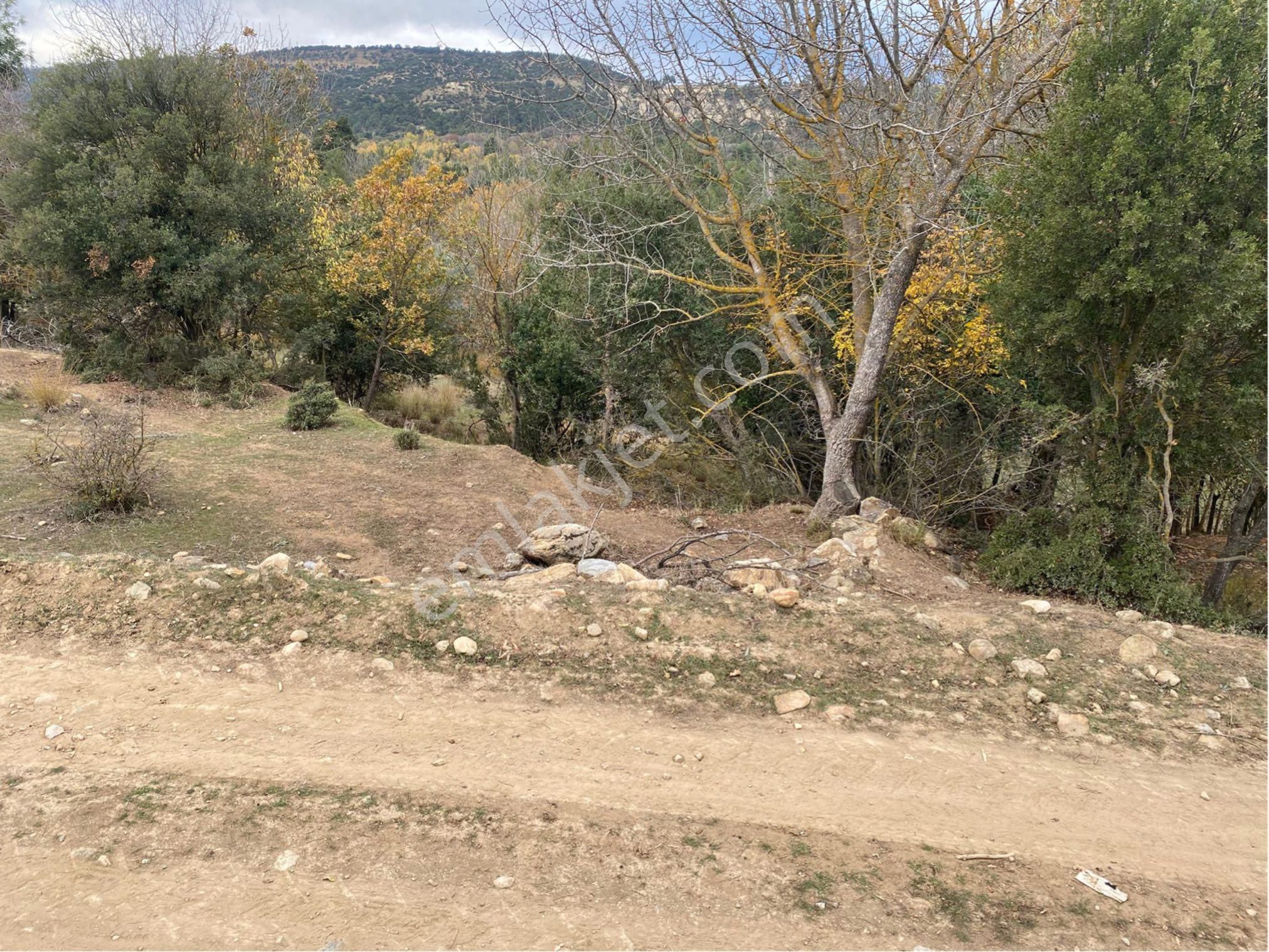 Denizli Yeşilyayla’da 3332m2 Bağ Bahçe Yapımına Uygun Dere Kenarı Köye Yakın Satılık Arsa - Görsel 3