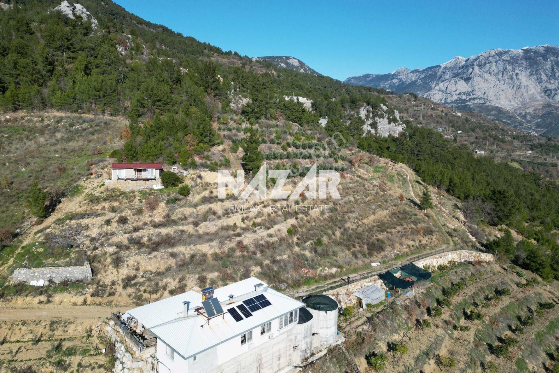 Alanya Yaylakonak’ta 3.299 M² Satılık Tarla - Görsel 9