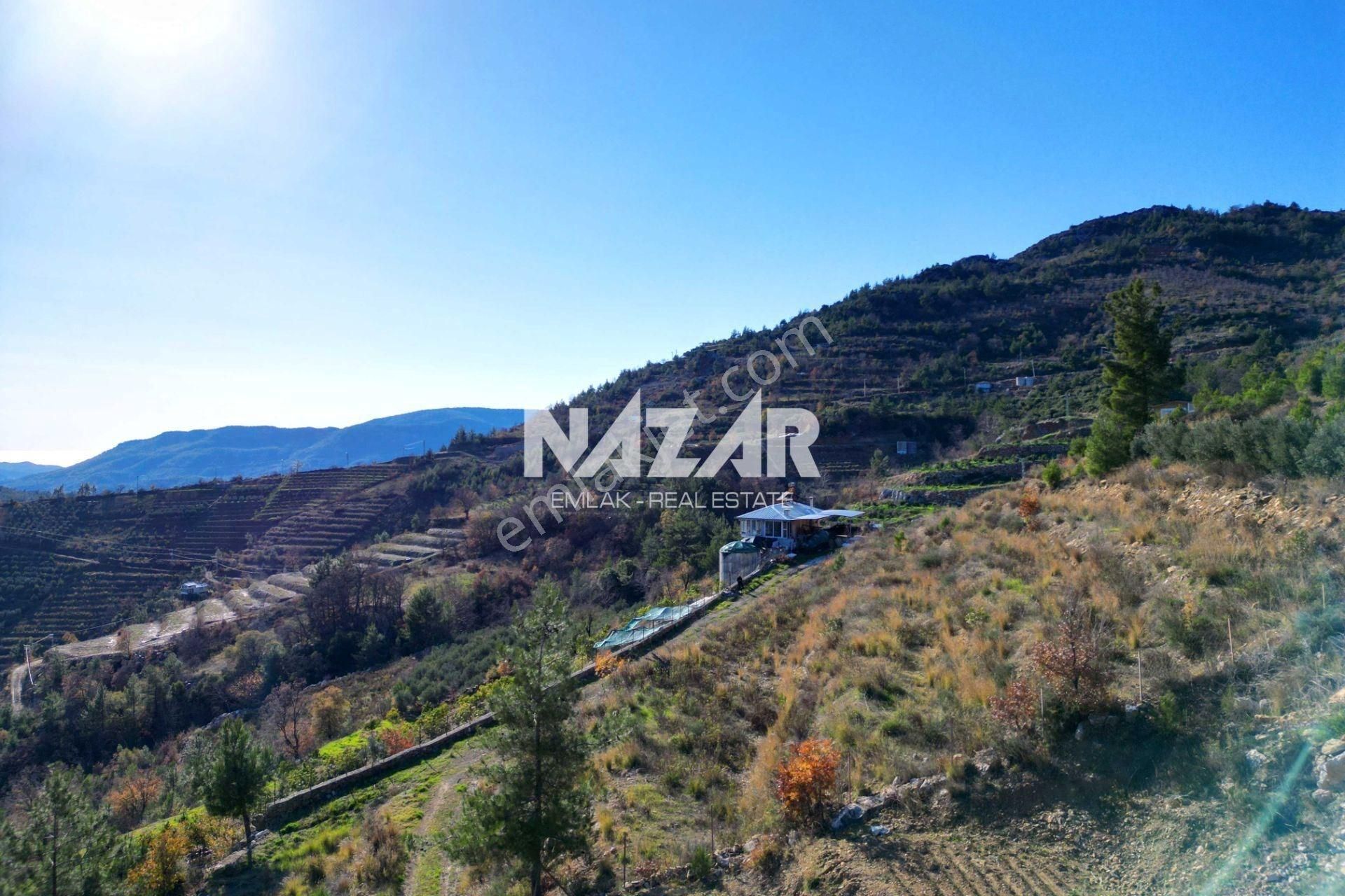 Alanya Yaylakonak’ta 3.299 M² Satılık Tarla - Görsel 10